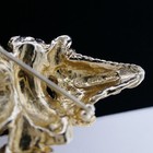Picture 4 of 4