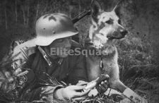 WW2 Photo Picture German Soldier with Dog & Message 233