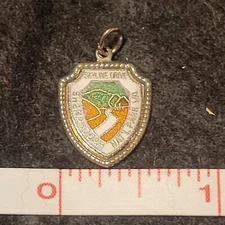 Skyline Drive Shenandoah Park Virginia Enamel Charm USA silver tone bracelet