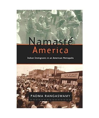 Namaste America: Indian Immigrants in an American Metropolis: Indian Immigrants 
