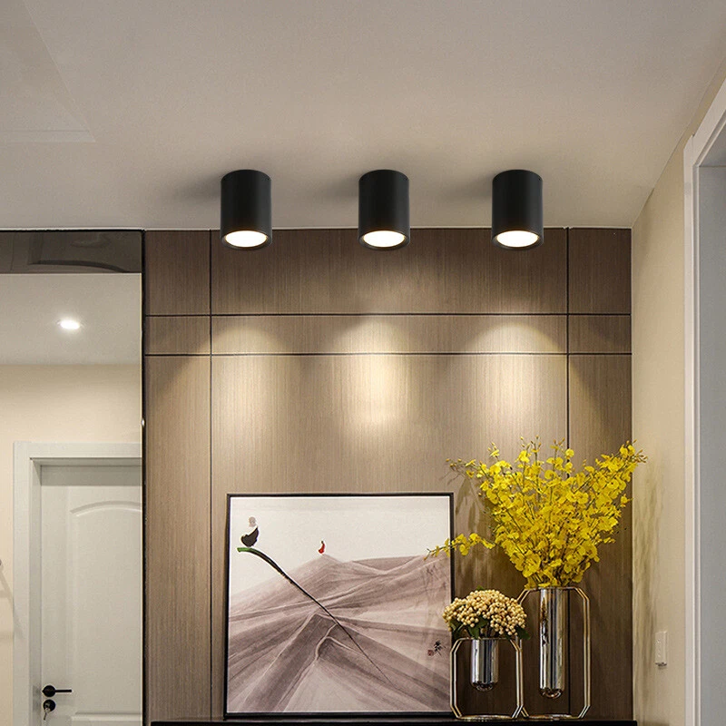 Contemporary LED Ceiling Light Metal Cylinder Spot Light Fixture Indoor Outdoor