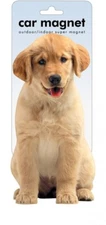 Car Magnet CUTE PUPPY - Paper House Productions - NEW