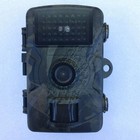 Foto 12 di 12