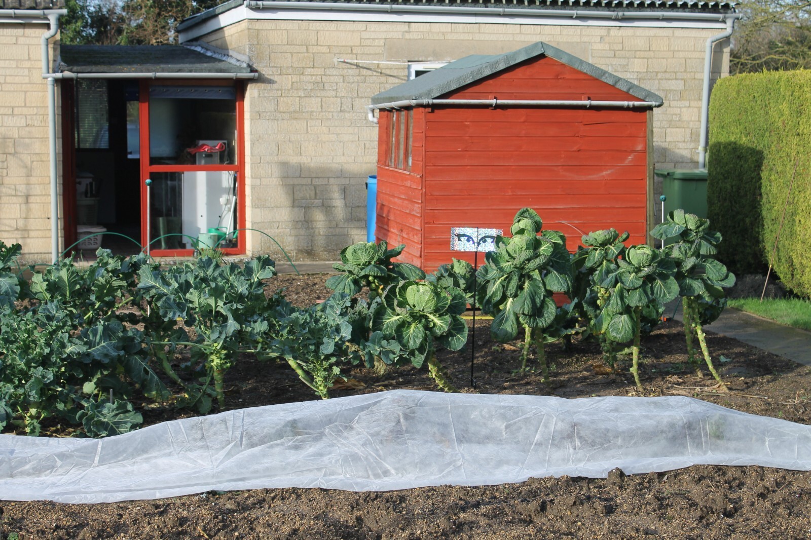 Garden Fleece  Heavyweight 30g Warmacrop Protect down to -5/-6 Size 4m x 250m