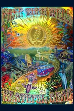 Grateful Dead The Golden Road Art Wall Indoor Room Outdoor Poster - POSTER 20x30