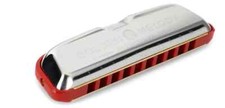 Hohner Golden Melody Harmonica - Keys of A and C Version 2 - 2 Harps 