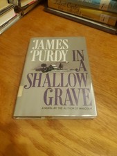 In a Shallow Grave: A Novel by James Purdy 1975 HCDJ