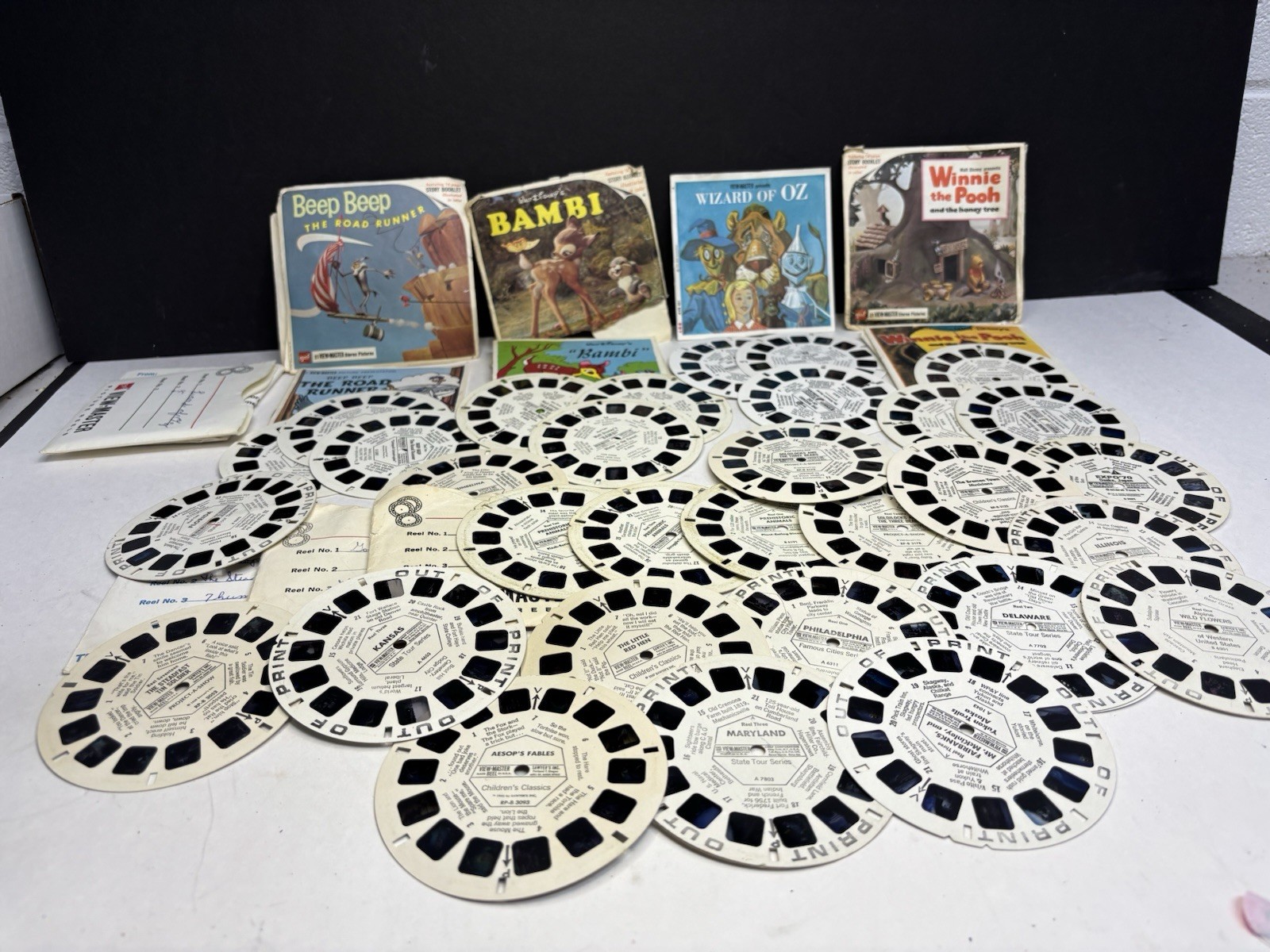 Large Lot Disney