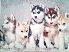 Finished Diamond Painting Husky Puppies Handmade Dog Art 15.75x11.88 Preowned