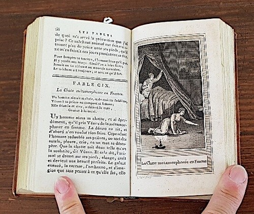 LES FABLES D'ESOPE mises en français avec le sens moral chez en BILLOIS 1801 - Imagen 12 de 12