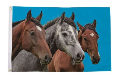 PFERDE Reiten Springen 150 cm x 90 cm 5 x 3 Fuß SIEBDRUCK FLAGGE