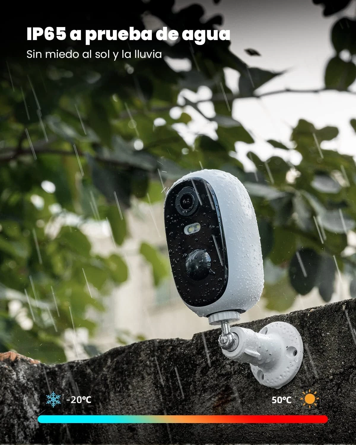 Imagen 9 de 10