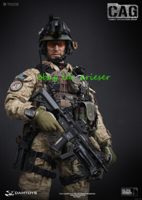 Perfect Damtoys 1/6 78009 Elite Series 1st Sfod-D Combat