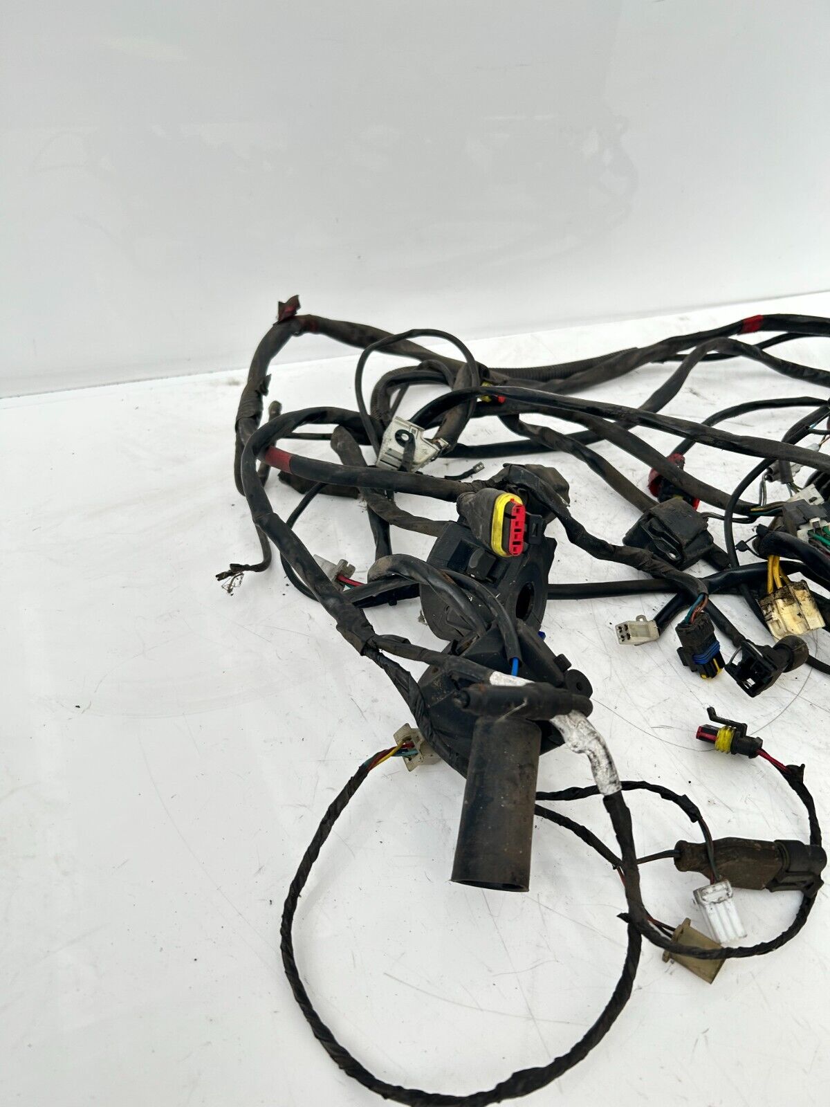 Foto 3 di 6