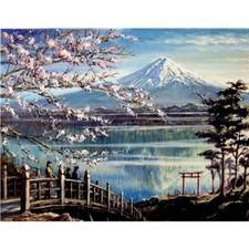 Paint By Numbers Adults kids Mountain Flower DIY Painting Kit 40x50CM Canvas