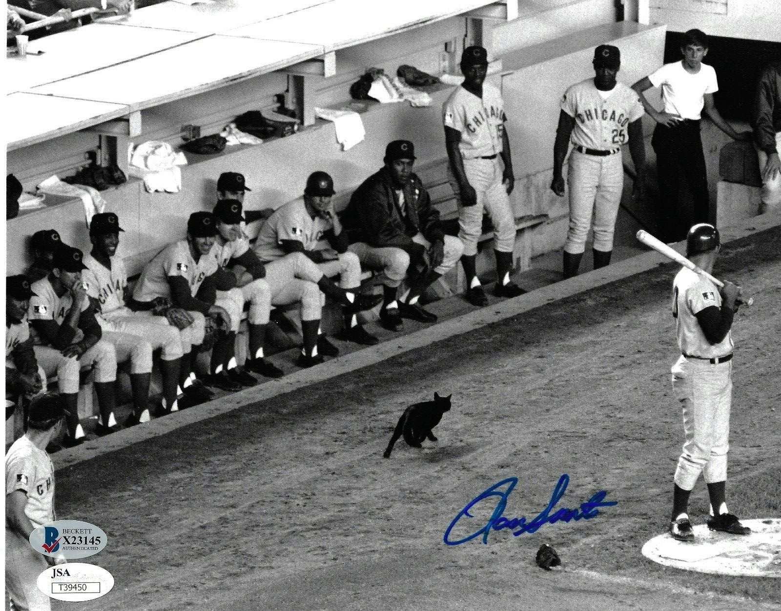 Ron Santo Signed Old Timers Game 8x10 Program (JSA COA) Chicago Cubs vs Braves