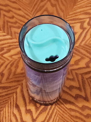 Carnival Cruise Line Photo Tumbler Insulated 12oz Travel Cup Picture Mug NEW