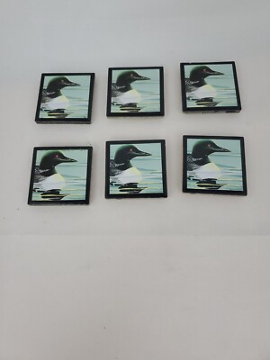 Souvenir Loon Duck Maine on Tile Magnet Lot of 7