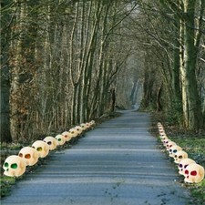 Halloween Skull Lawn Decorations Set of 36 - FREE SHIPPING