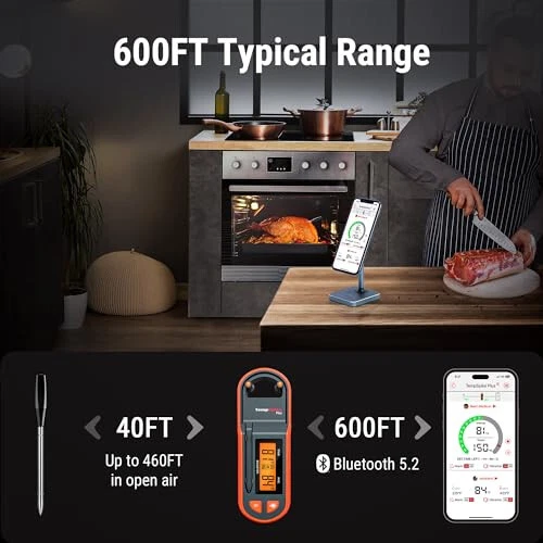 Meat Thermometer 600fT, 1 Temperature Gun with Laser Pointer