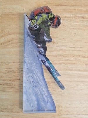 SKIER SKIING SKI Home Wall Art Decor Lodge Snow Sport