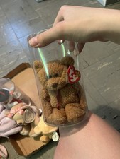 Ty Beanie Babies Plush Bears Lot Retired Original with Display Cases