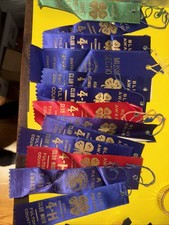 Lot of 13 vintage 4H ribbons 