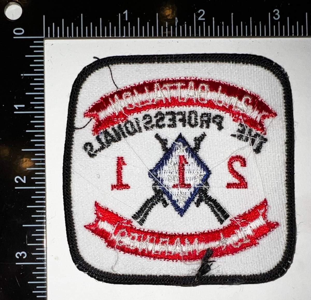 USMC US Marine Corps 2nd Battalion 1st Marines Division The