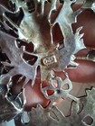 Bild 6 von 12