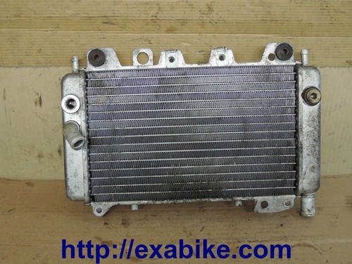 Radiateur Eau Pour Piaggio X9 180 (depuis 2001) - TECNO MOTO, Occasion Italie