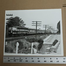 Great Northern Railway No. 251 Diesel Locomotive Passenger Train Photo 8x10