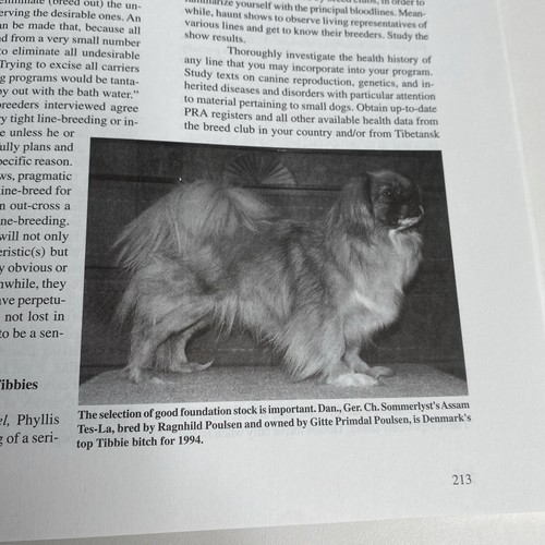 The Tibetan Spaniel: A Gift From The Roof Of The World Susan Miccio 254 pages - Bild 12 von 19