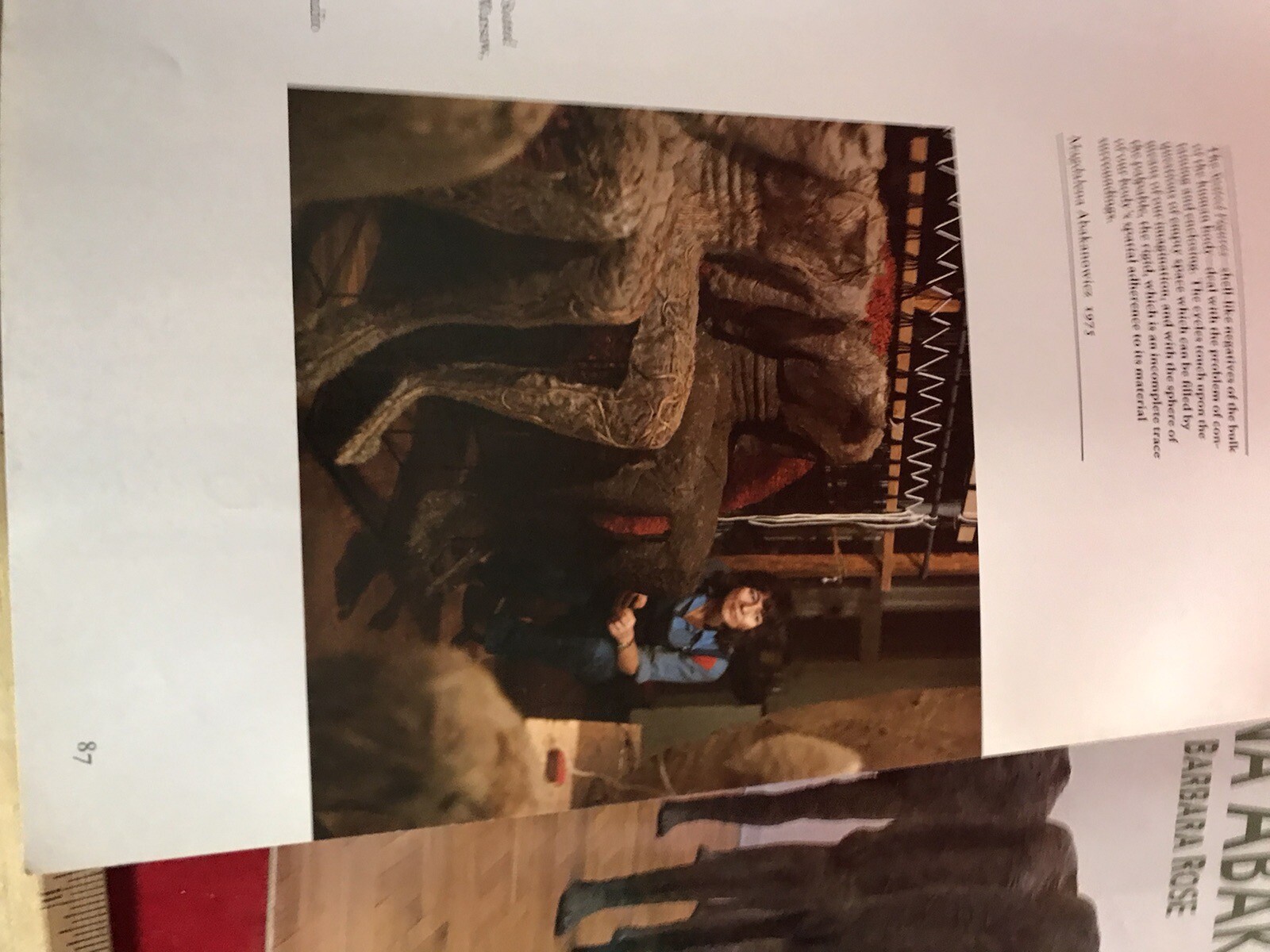Picture 13 of 14