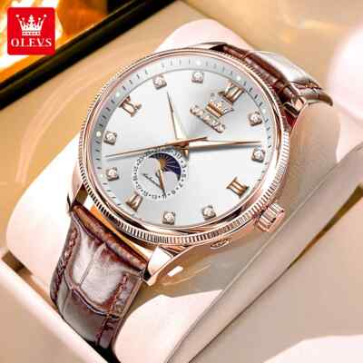 OLEVS Wristwatch Genuine Leather Luminous Automatic Mechanical Watch for Man