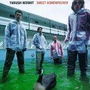 Sweet Homewrecker von Thrush Hermit | CD | Zustand sehr gut