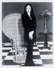 The Addams Family Carolyn Jones as Morticia 4x6 Picture Celebrity Print