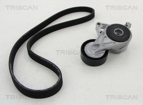 Triscan Keilrippenriemensatz 8642 29013 FüR Audi Seat Skoda VW-image