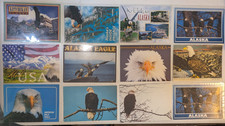 Vintage ALASKA RPPC  Postcard Lot, All Bald Eagles, Unposted