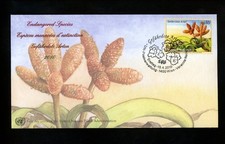 Postal History UN FDC V #467 UNPA Endangered Species Animal Welwitschia 2010