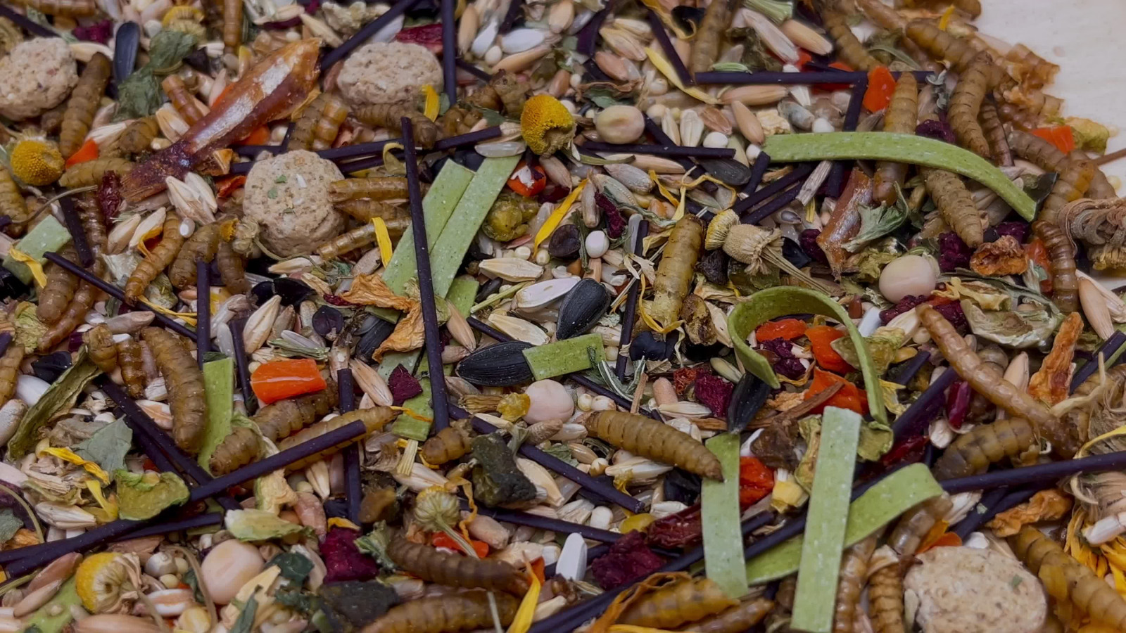 Rat Daily Diet - Shunamite, 40+ natural ingredients