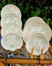 Vintage MCM Homer Laughlin Serenade Blue Daisies Plate Set X12