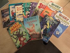 Children  s Chapter Book Lot   11 Titles   Mixed Series   Great Condition