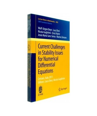 Current Challenges in Stability Issues for Numerical Differential Equations: Cet