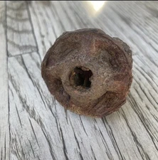 Dried Pods Eucalyptus Foraged Potpourri Crafts Terrarium Reptile 107 1/4” to 2”