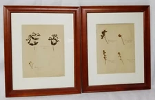 Antique Framed Botanical Flower Prints Pressed Leaves Herbarium Specimens