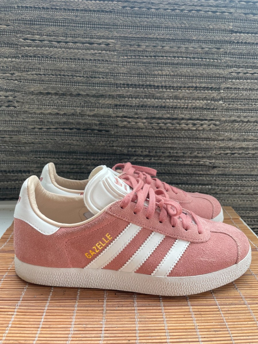 gazelle rose 36