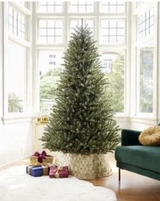 Meet the Royal Blue Spruce – Elegance in Every Branch