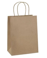 100Pcs Gift Bags 8x4.25x10.5” Kraft Paper Bags Medium Size Brown Paper Bags