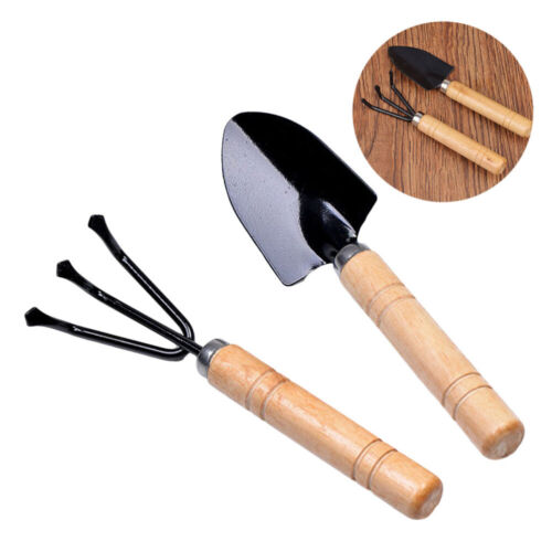 2 Pcs Bamboo Garden Tool Set Tools for Gardening Fairy Micro-plant