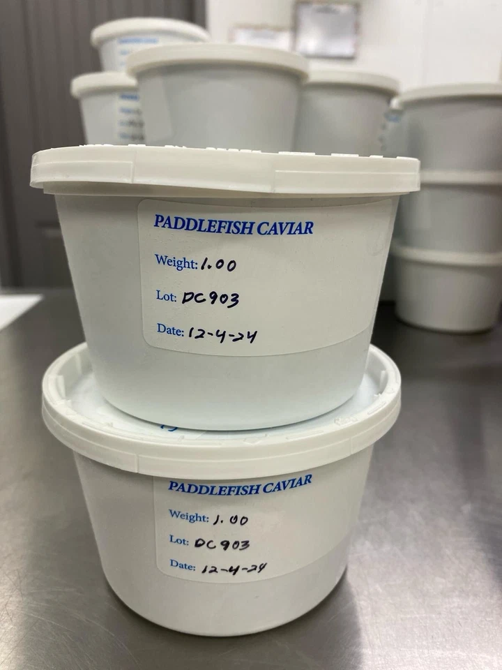 Selling wild black caviar Paddlefish - Image 3 of 4